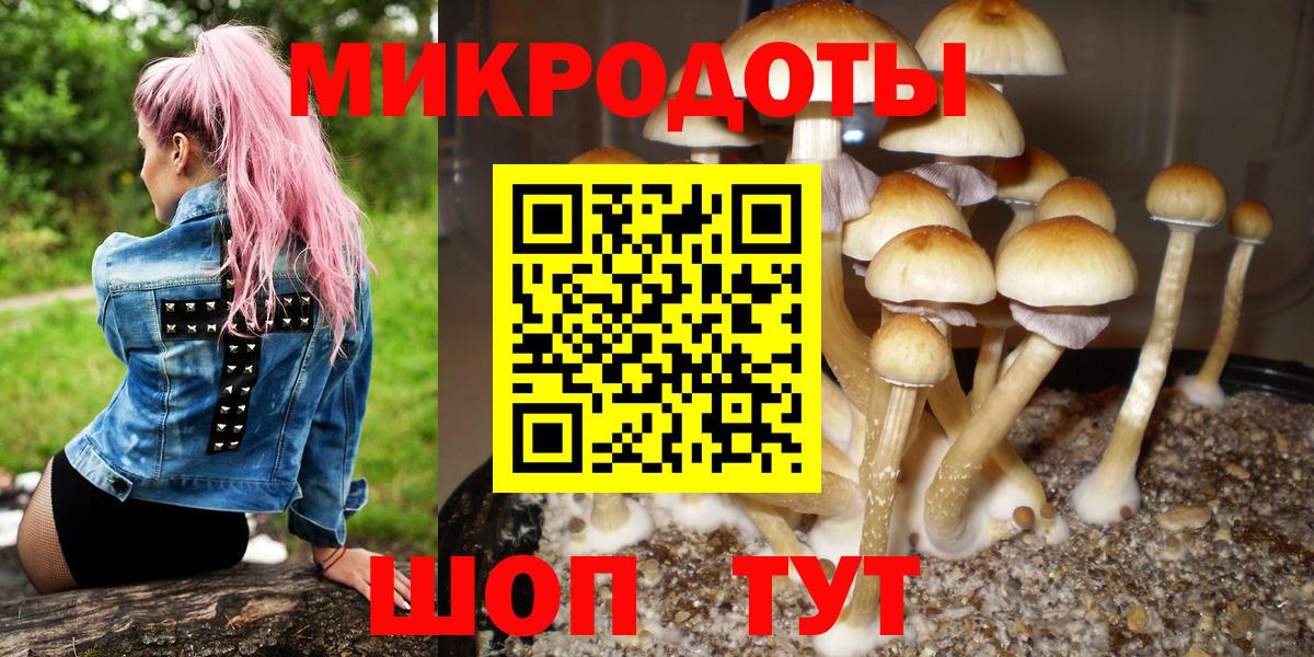 Галлюциногенные грибы мухоморы Каспийск